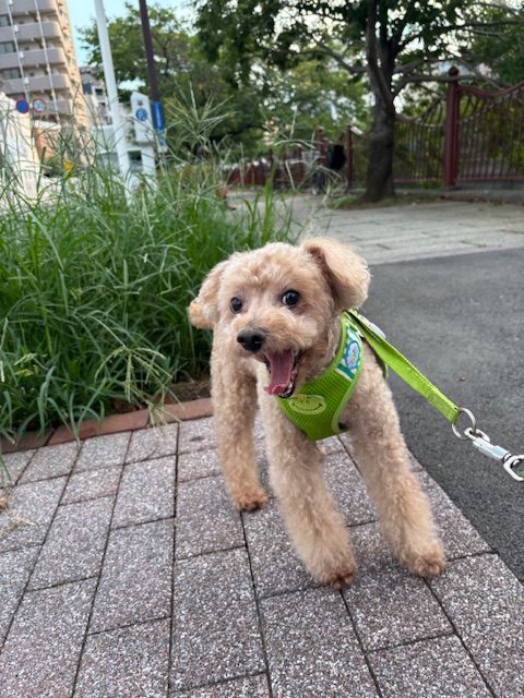 涼しい1日でした～～イメージ