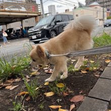 涼しくて最高～！(≧▽≦)イメージ