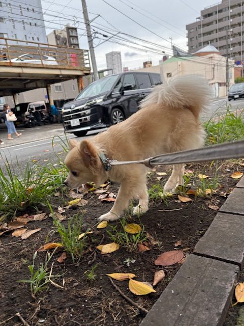 涼しくて最高～！(≧▽≦)イメージ