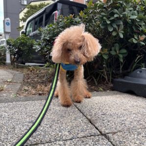 すっかり秋模様です！イメージ