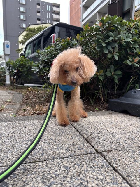 すっかり秋模様です！イメージ