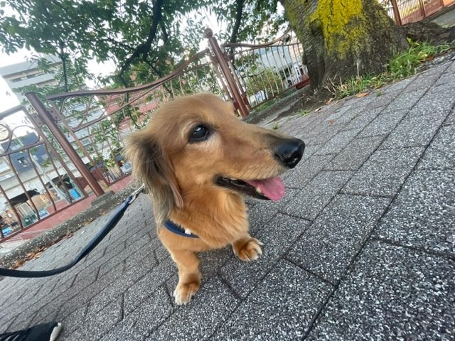みんな元気いっぱいです！イメージ