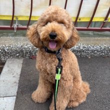 涼しい一日でした(*´▽｀*)イメージ