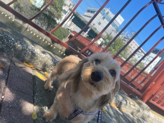 みんな元気いっぱいです！イメージ