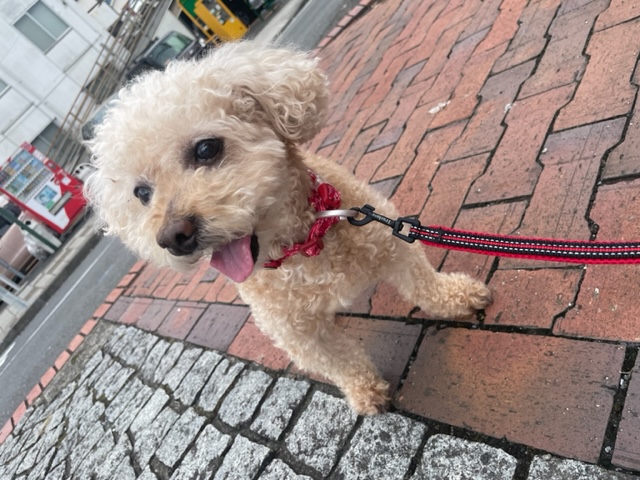 とても涼しい1日でした～！イメージ