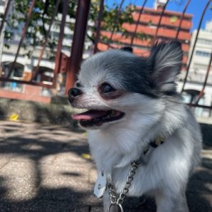 昨日とは変わり暑い一日でした🌤イメージ