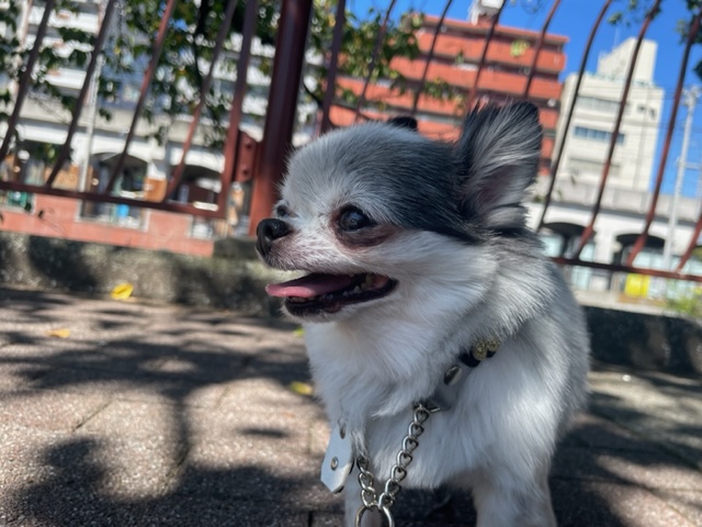 昨日とは変わり暑い一日でした🌤イメージ