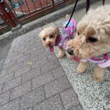 まだまだ暑いです(>_<)イメージ
