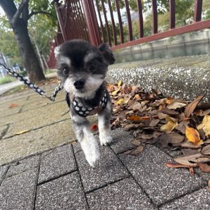 10月ももうすぐ終了です(-ω-)/イメージ