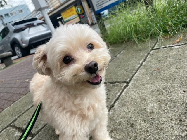 10月スタートです(*^^)vイメージ