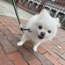 今日も涼しい1日です(#^.^#)イメージ