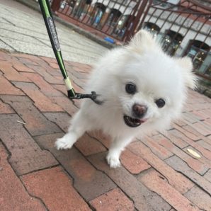 今日も涼しい1日です(#^.^#)イメージ