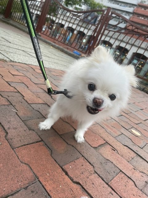 今日も涼しい1日です(#^.^#)イメージ