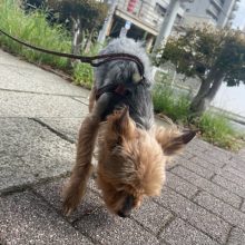 とてもいい天気です(*^^)vイメージ