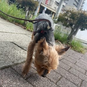 とてもいい天気です(*^^)vイメージ
