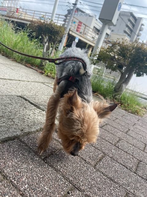 とてもいい天気です(*^^)vイメージ