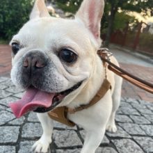 風が強い一日でした！イメージ