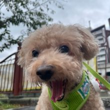 雨模様な一日でした☔イメージ