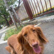 涼しい風が吹いています( *´艸｀)イメージ