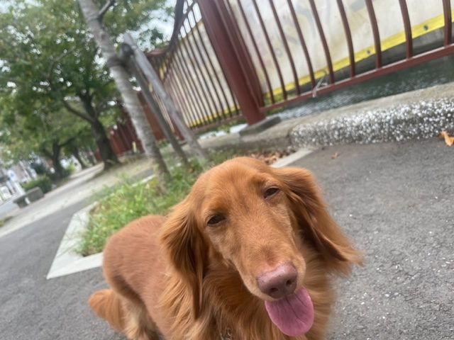 涼しい風が吹いています( *´艸｀)イメージ