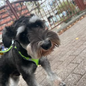 涼しい風が吹いていますヾ(≧▽≦)ﾉイメージ