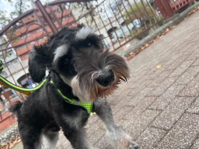 涼しい風が吹いていますヾ(≧▽≦)ﾉイメージ