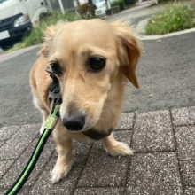 涼しい一日でした～!イメージ