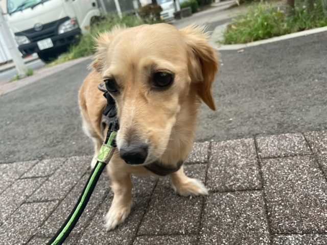 涼しい一日でした～!イメージ