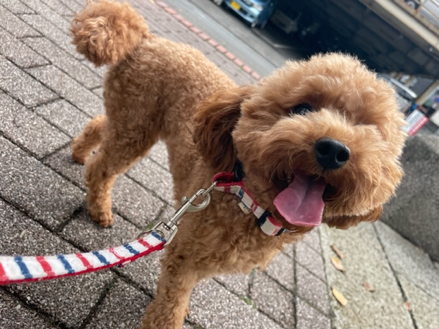 みんなのんびりと過ごしていました(*^▽^*)イメージ