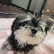 雨が降ったり、止んだりです(>_<)イメージ