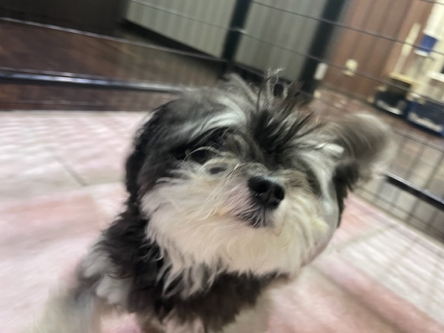 雨が降ったり、止んだりです(>_<)イメージ
