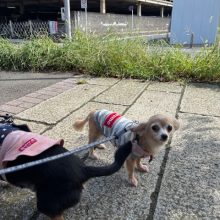 季節の変わり目ですね🤧イメージ