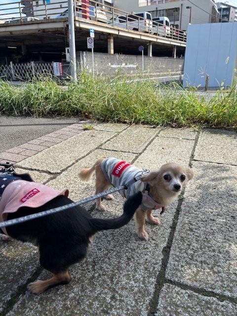 季節の変わり目ですね🤧イメージ