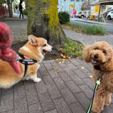 にぎやかな3連休でした！イメージ