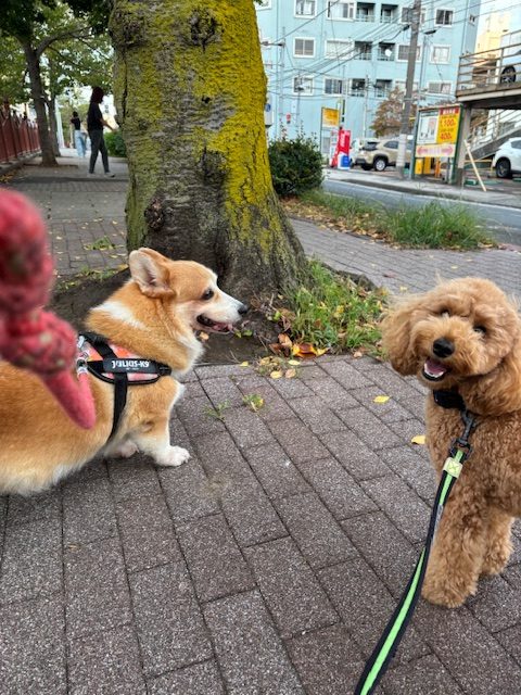 にぎやかな3連休でした！イメージ