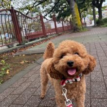 今日はとっても寒いです:;(∩´﹏`∩);:イメージ