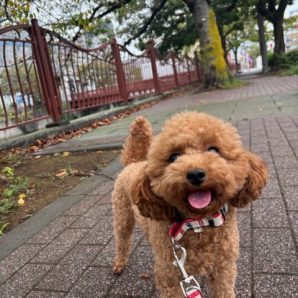 今日はとっても寒いです:;(∩´﹏`∩);:イメージ