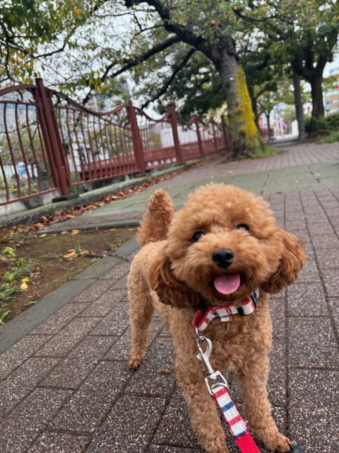 今日はとっても寒いです:;(∩´﹏`∩);:イメージ