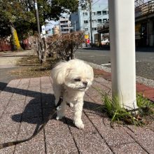 明日はハロウィンです‼🎃🕷👻イメージ
