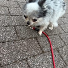 秋模様のお散歩ルートです🍁イメージ