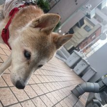 11月スタートです(*´▽｀*)イメージ