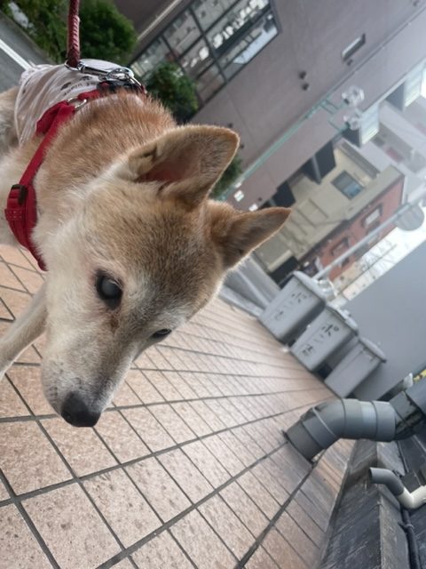 11月スタートです(*´▽｀*)イメージ