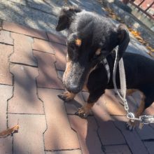 いいお天気でした☀イメージ