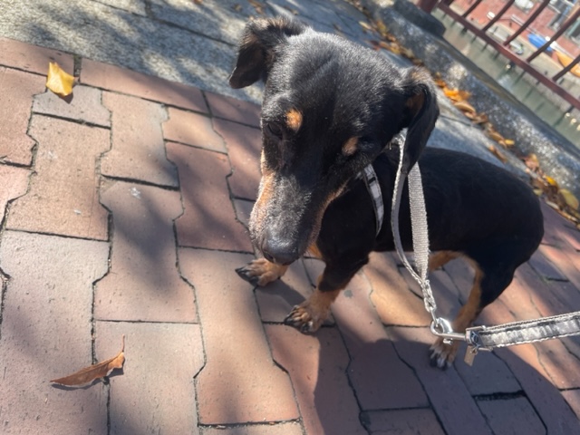 いいお天気でした☀イメージ