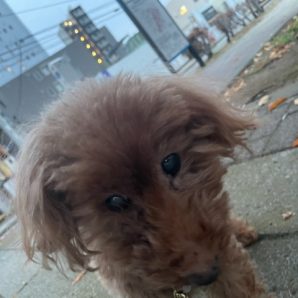 少しずつ寒くなってきました(>_<)イメージ