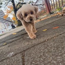 少し肌寒い一日でした(-.-)イメージ