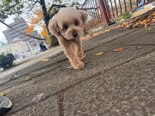 少し肌寒い一日でした(-.-)イメージ