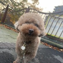 夕方から雨でした(>_<)イメージ