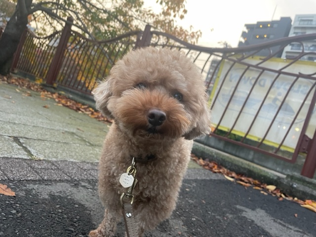 夕方から雨でした(>_<)イメージ