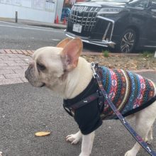 みんなのんびりと過ごしています♫イメージ